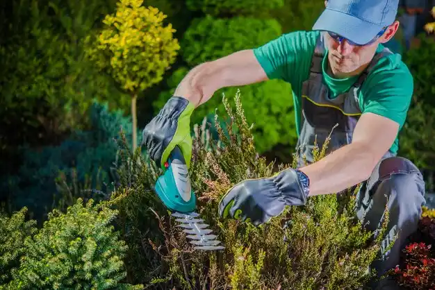 landscaping services Lindsey